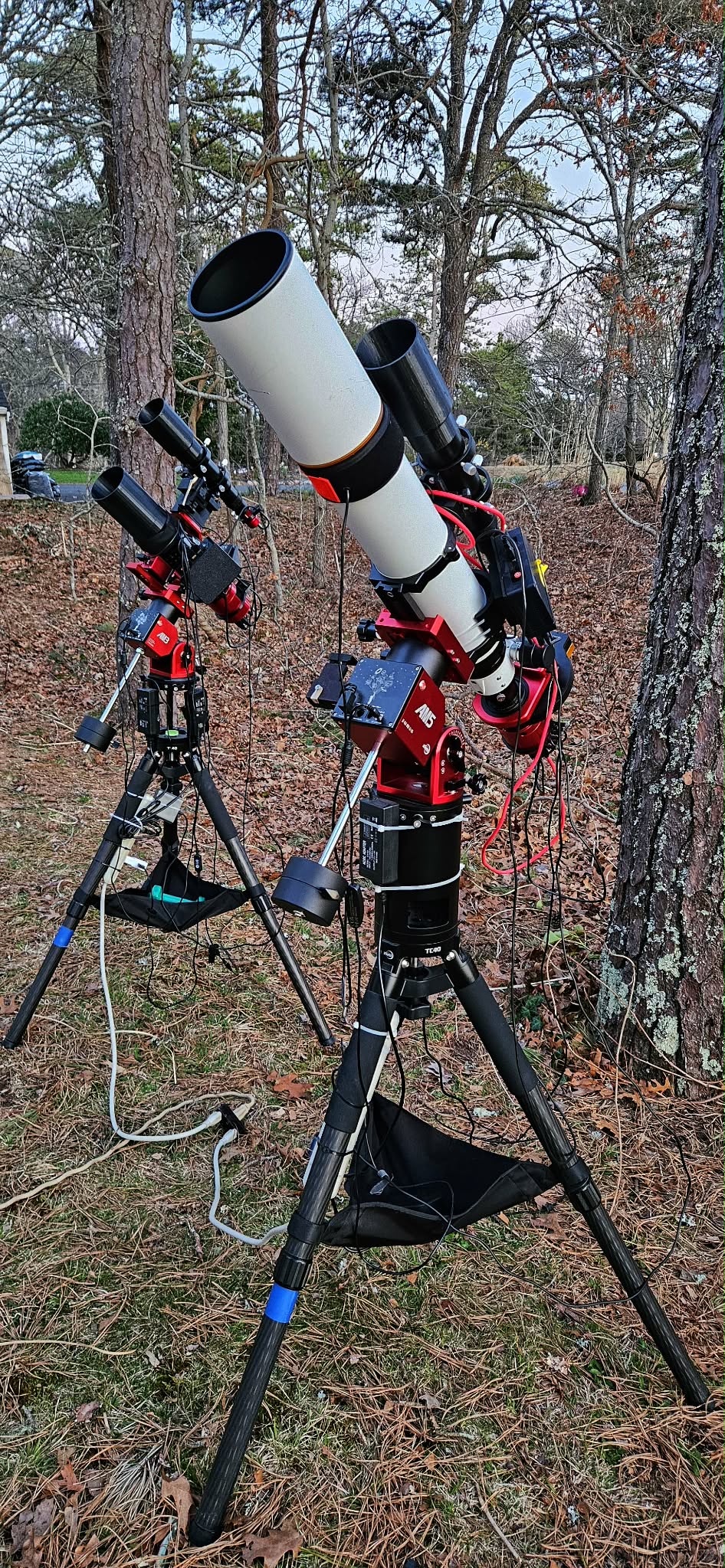 Walt Watson's narrow field and wide field telescope setups